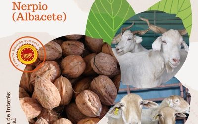 Feria de la Nuez de Nerpio 2023